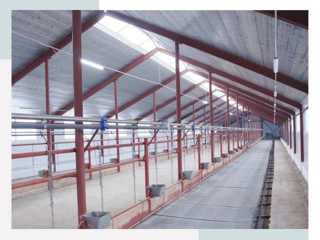 Строительство коровников в Егорьевске от 608 руб.