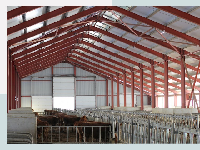 Строительство коровников в Егорьевске