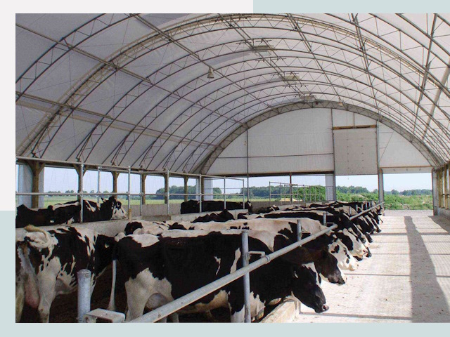 Тентовые коровники в Егорьевске